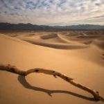 argest desert in asia nyt